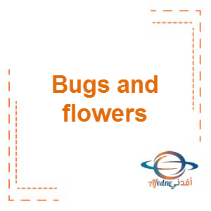 حل درس Bugs and flowers اللغة الإنجليزية الصف الرابع الفصل الثاني