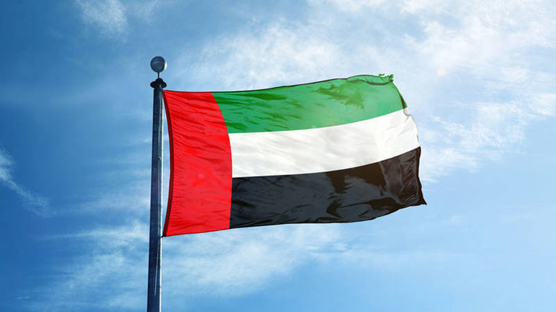 برنامج الخطط الدراسية والاختصاصات المتاحة في جامعة الإمارات العربية المتحدة