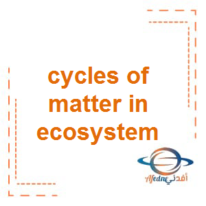 Cycles of matter in ecosystem علوم منهج إنجليزي الصف الخامس الفصل الثالث